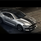 Illustration for article titled 2015 Shelby GT350 Mustang: This Is It